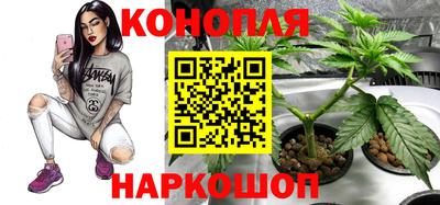спайс Кунгур