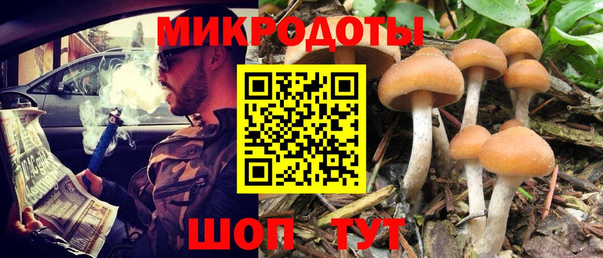 Галлюциногенные грибы Cubensis  Псилоцибиновые грибы мицелий  где можно купить наркотик  Тобольск  Вход с VPN 