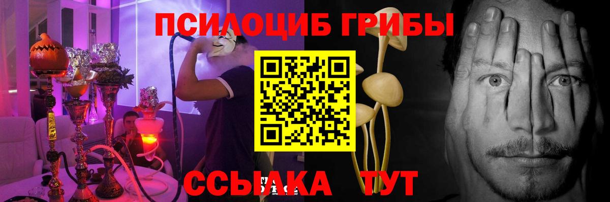 Псилоцибиновые грибы прущие грибы Тобольск